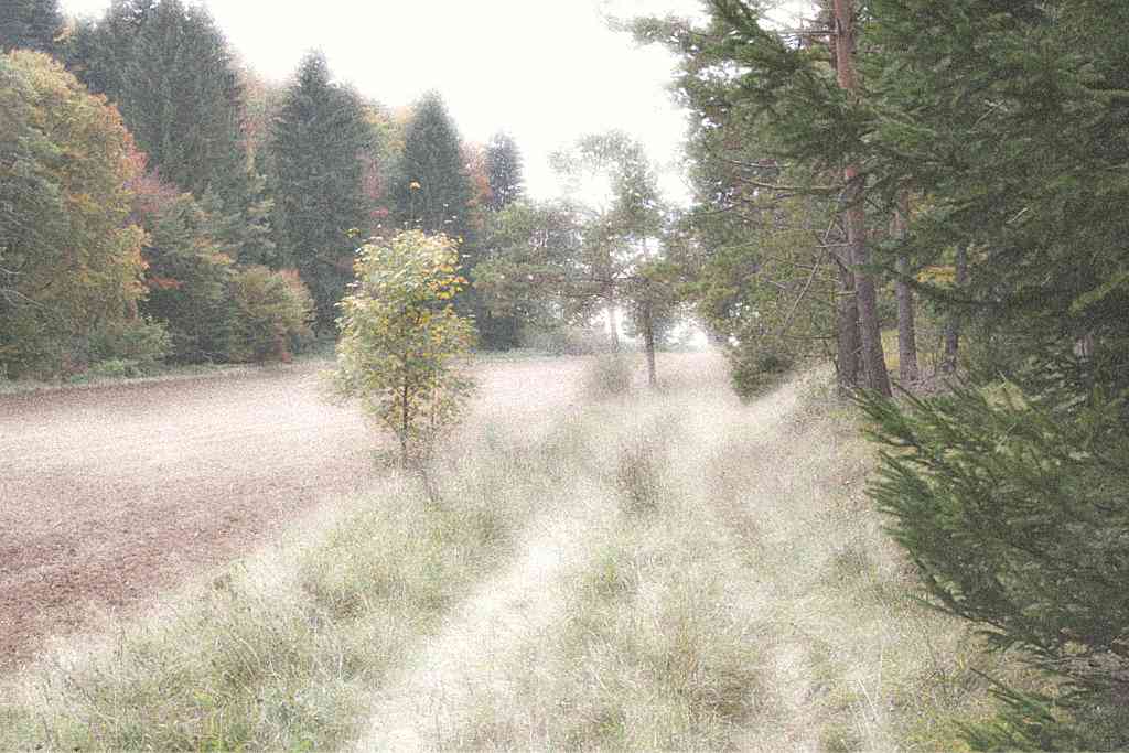 Der Wanderweg in der Nhe des Augstberges