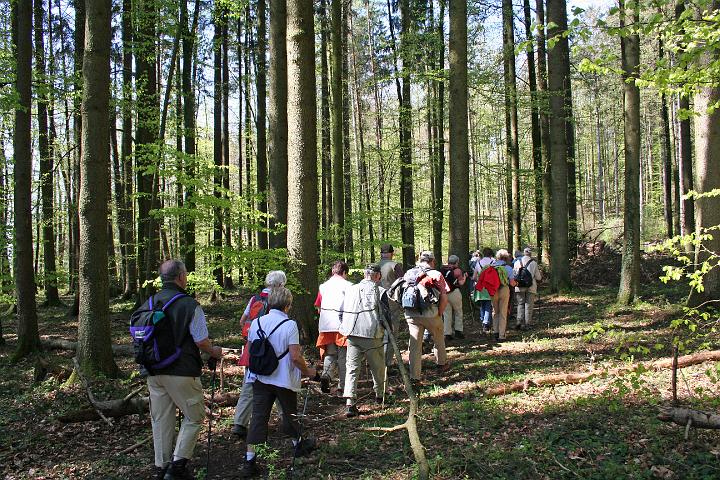 Blütenwanderung