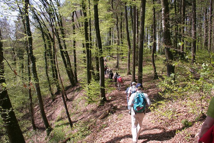 Blütenwanderung