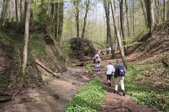 Blütenwanderung