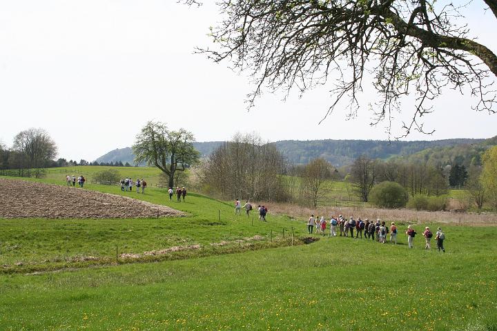 Blütenwanderung