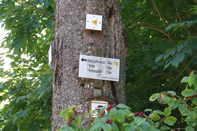 Von Freudenweiler zur Ruine Lichtenstein