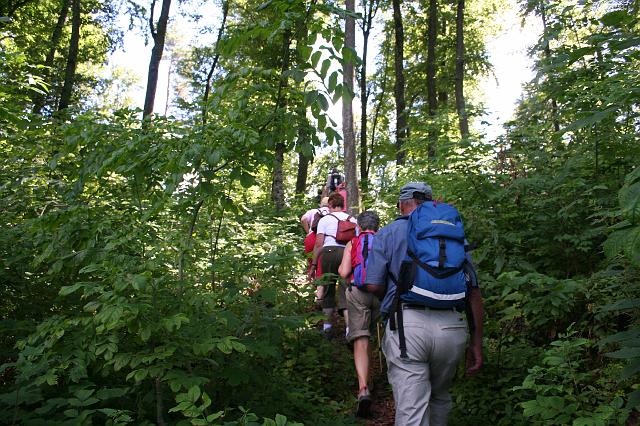 Von Freudenweiler zur Ruine Lichtenstein