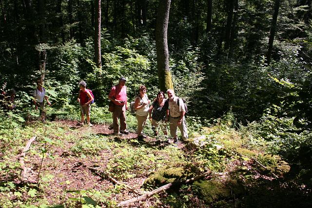 Von Freudenweiler zur Ruine Lichtenstein