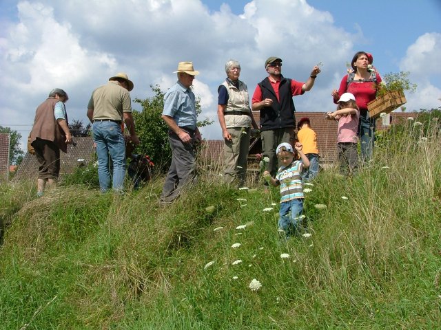 080816weihbuschel05.JPG