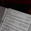 Mostprobe in Bittelschie