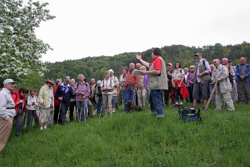 090426blueten01_05.JPG - Auf dem 1.Aussichtspunkt