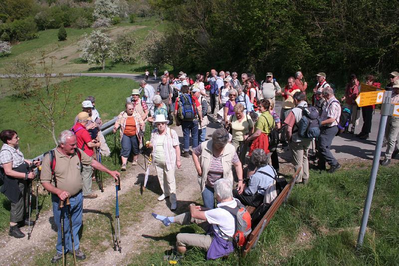 090426blueten01_14.JPG - An der Abzweigung zu den 7 Churfirsten (7 Kurfürsten): Die Gruppe sammelt sich