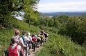 Blütenwanderung 3