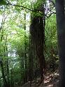 090917_wandern02_12