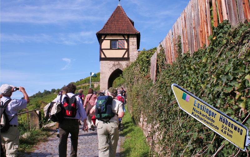 101003esslingen_019.JPG - ... auf dem > Esslinger Höhenweg...