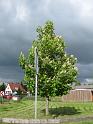 140514rad_feierabend065