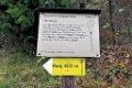 171111strassberg_013