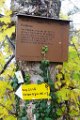 171111strassberg_027
