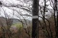 171111strassberg_033