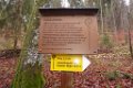 171111strassberg_054