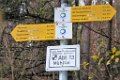171111strassberg_089
