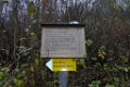 171111strassberg_108