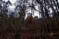 171111strassberg_112