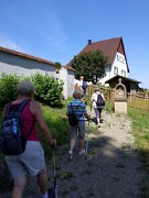 230709_morgenwanderung_heiligenberg_44