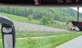 250426bluetenwanderung00__02