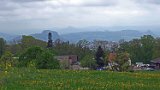 250426bluetenwanderung01__042