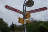 250426bluetenwanderung01__048