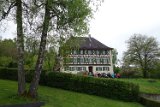 250426bluetenwanderung01__059