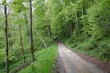 250426bluetenwanderung01__089