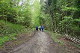 250426bluetenwanderung01__108