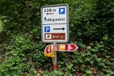 250426bluetenwanderung01__121