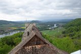 250426bluetenwanderung01__151