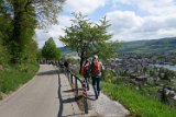 250426bluetenwanderung01__179