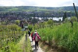 250426bluetenwanderung01__182