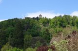 250426bluetenwanderung01__192