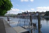 250426bluetenwanderung01__236