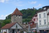 250426bluetenwanderung01__240