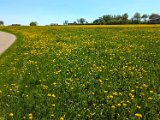 250501_Radtour__105