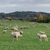 251012muensingen__35