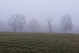 251213_01_Wanderung14