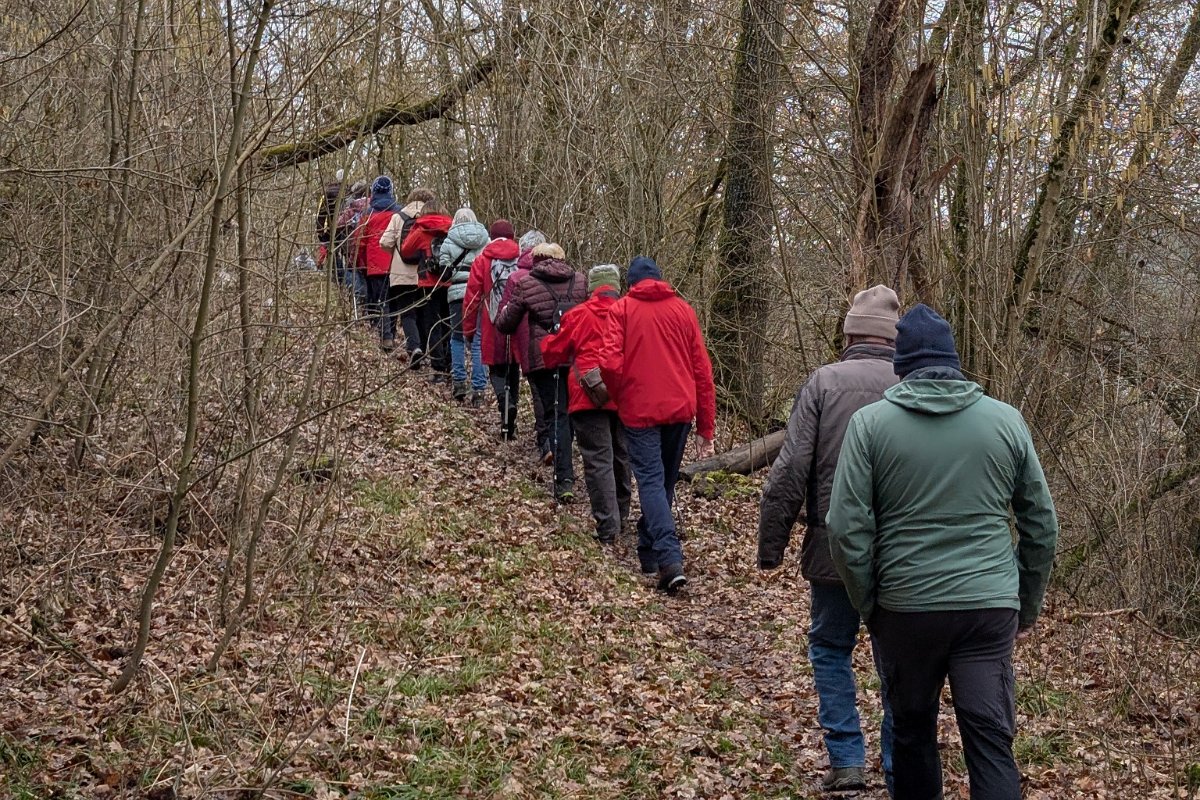 260222_Ablach037.jpg - Durch die bewaldeten Südhänge des Ablachtals führt ein schmaler Fußweg erst hangentlang und dann schließlich hinunter an die Ablacher Seen.