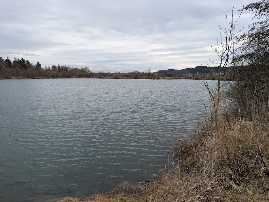 260222_Ablach113.jpg - An den Ablacher Seen...