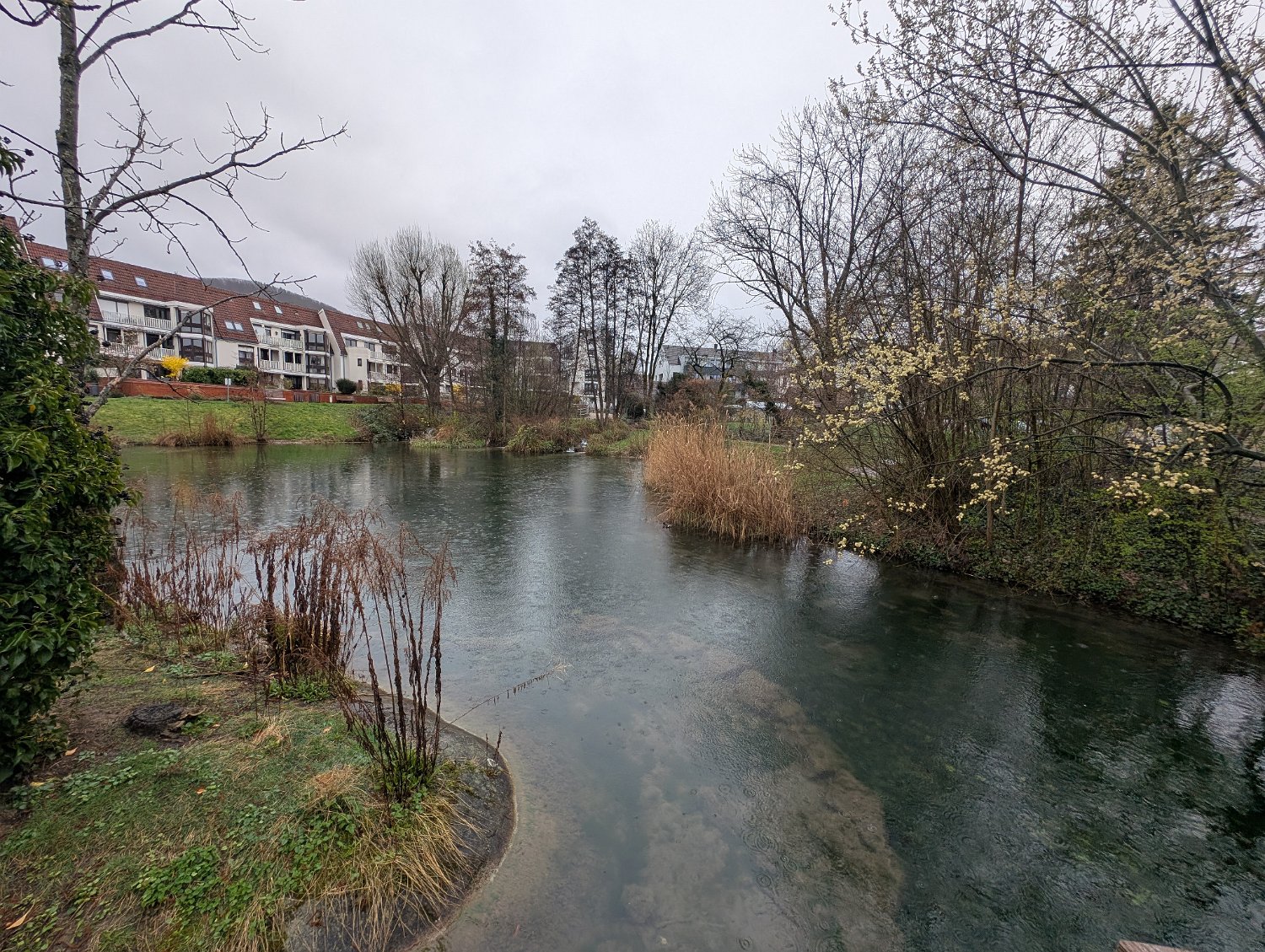 260314_Pfullingen016.jpg
