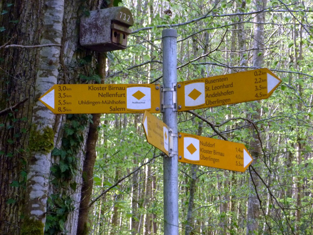 260418_Bluetenwanderung01_ (05).JPG