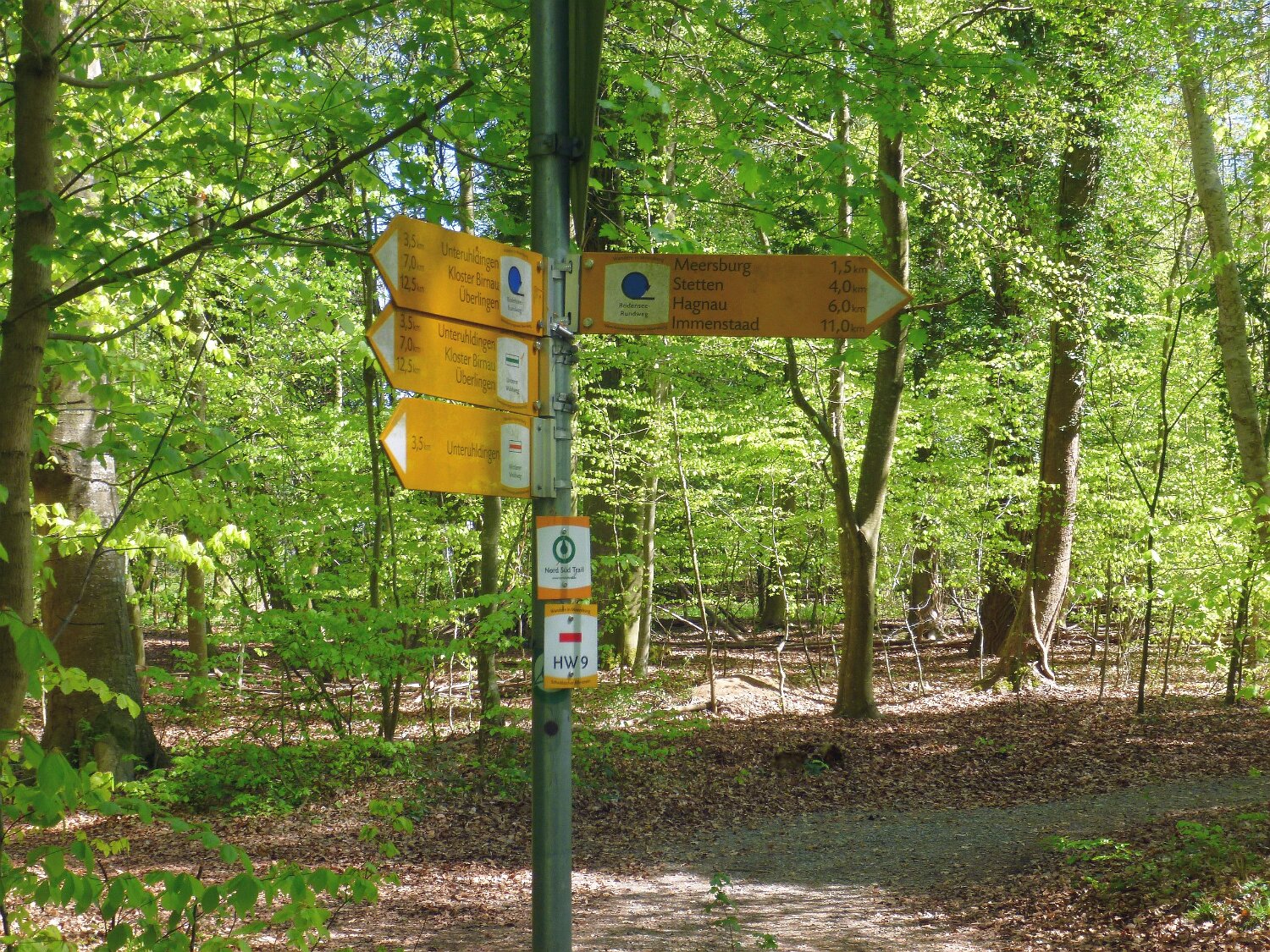 260418_Bluetenwanderung01_ (37).JPG