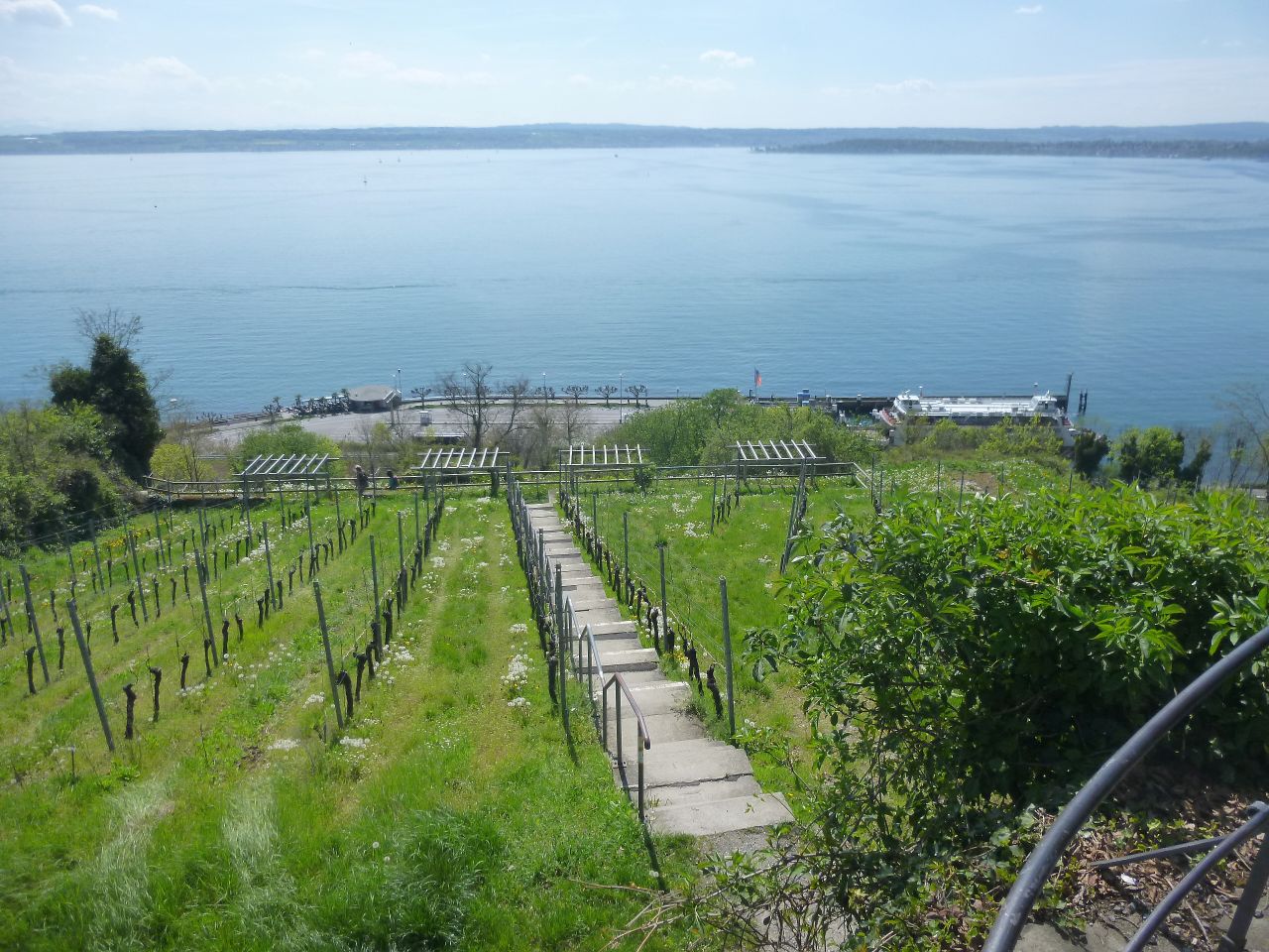 260418_Bluetenwanderung01_ (42).JPG