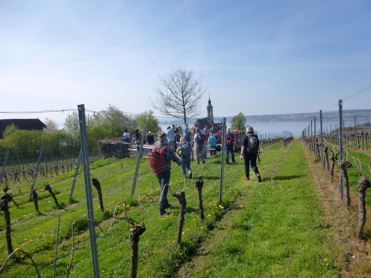 260418_Bluetenwanderung01_ (7).JPG