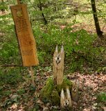 260418_Bluetenwanderung01_ (05a)