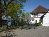 260418_Bluetenwanderung01_ (17)