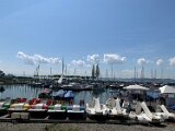 260418_Bluetenwanderung01_ (28)